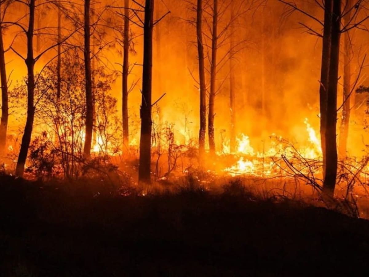 Evacuan en Francia 7 pueblos más cerca de Burdeos mientras avanza el gran incendio de Gironda