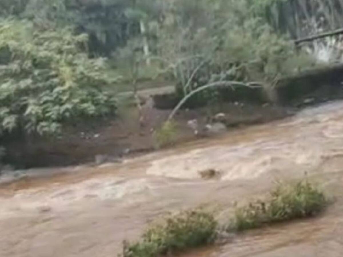 Rescatan a grupo de bañistas atrapados en medio de las aguas del río Cali
