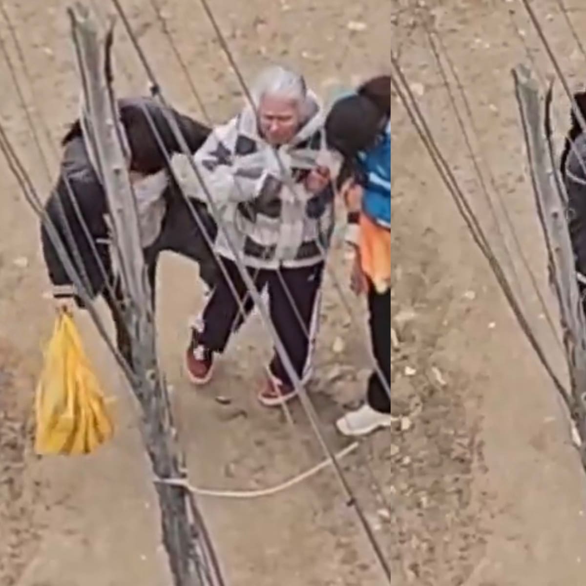 Adulta mayor golpeada por sus cuidadoras en Bogotá será llevada a una casa refugio