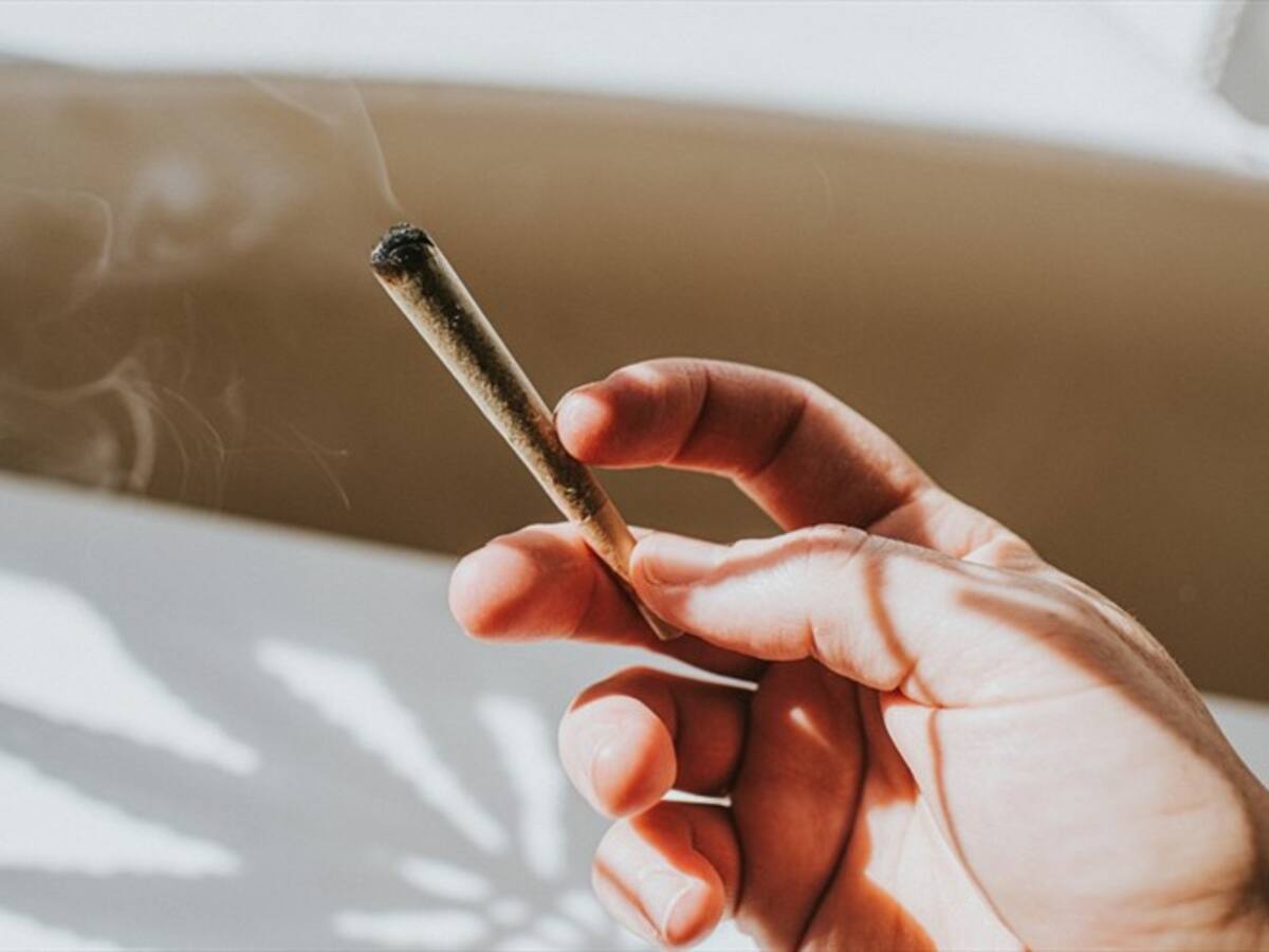 En México deben poner las reglas del cannabis y no el narcotráfico: senadora