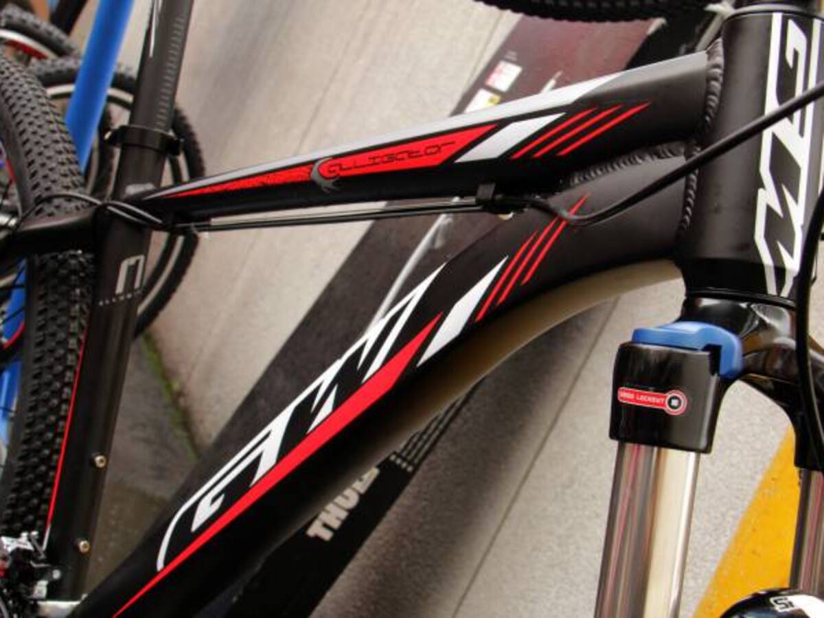 Congreso disminuye el IVA al 5% para la compra de bicicletas