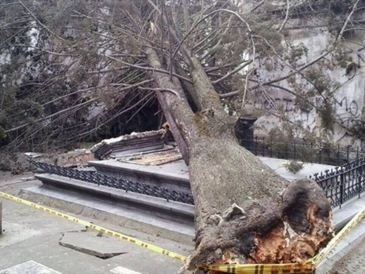 Caída de árbol ocasionó daño a la tumba de Jaime Pardo Leal
