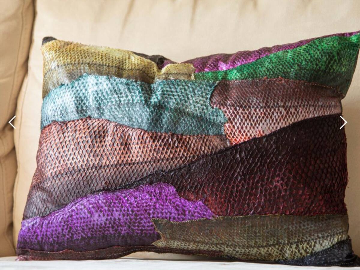 La piel de pescado podría convertirse una fuente de empleo sostenible en Colombia