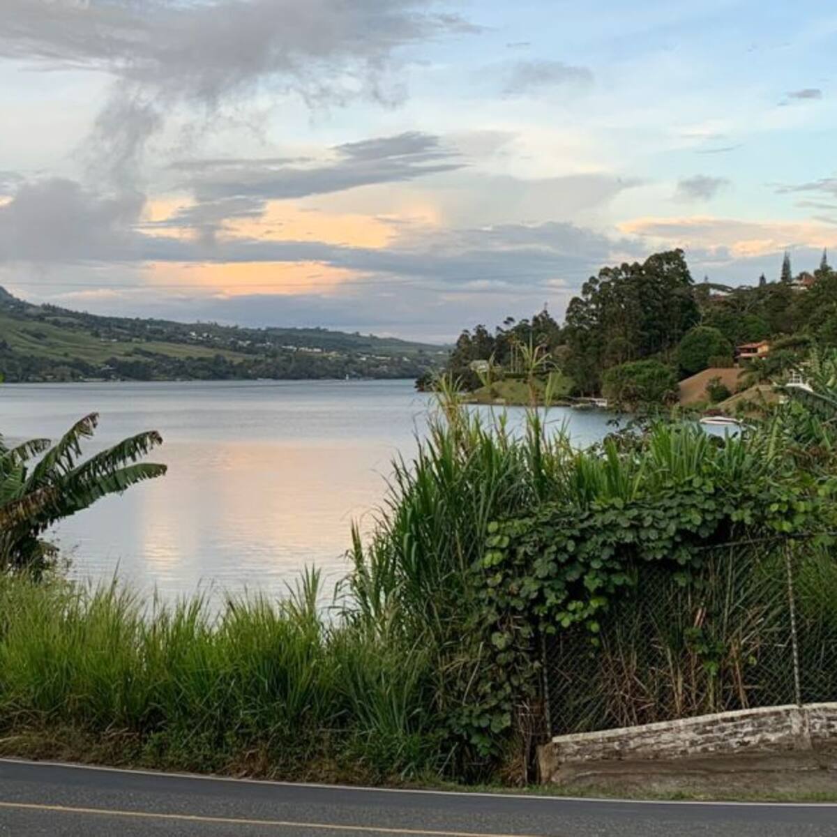 Restricciones de movilidad temporal en Cali y el Valle del Cauca