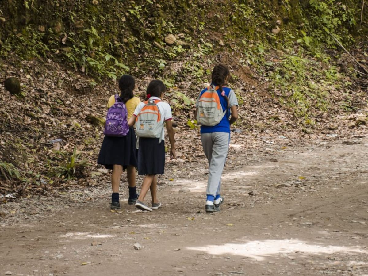 Suspenden clases en instituciones educativas en Jambaló, Cauca tras ataque a la FF.MM.