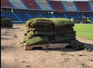 Foto: captura de pantalla cuenta de X del alcalde Alejandro Char.
