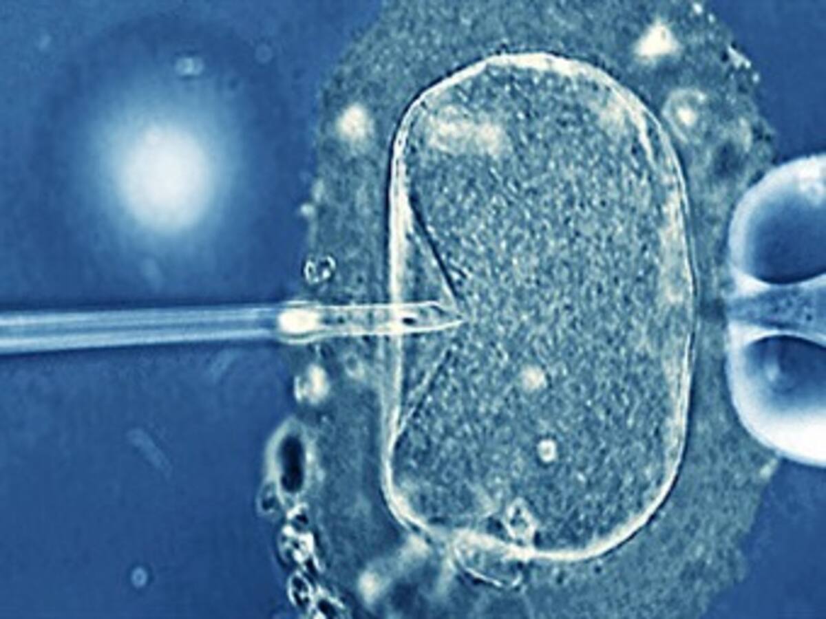 Costa Rica niega la fertilización in vitro