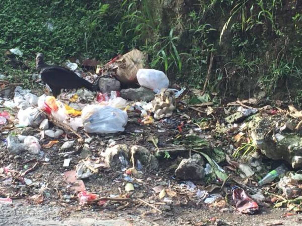 Muchas zonas de Dosquebradas siguen inundadas de basuras
