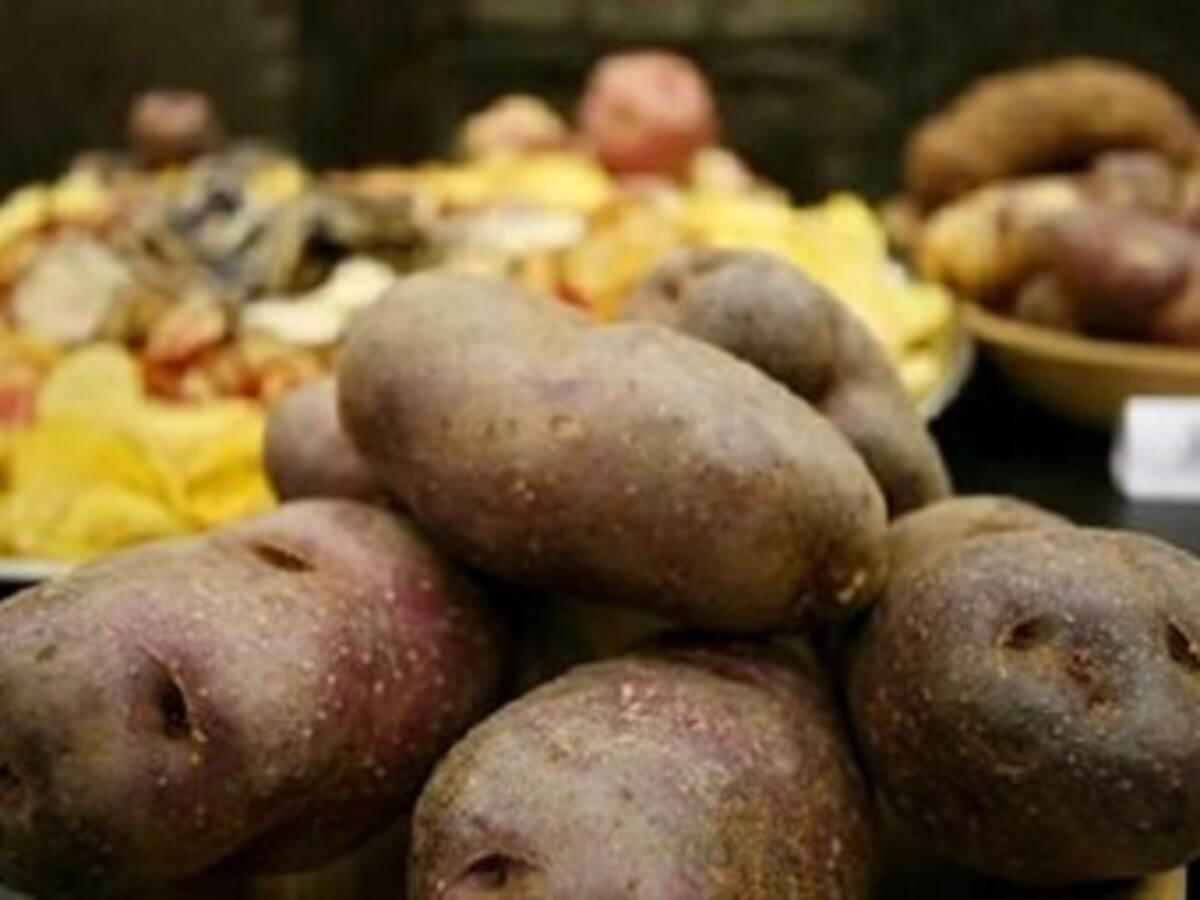 Precios de los alimentos podrían subir por el fenómeno del niño