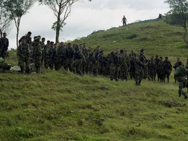 Liberación de guerrilleros no será inmediata: Minjusticia