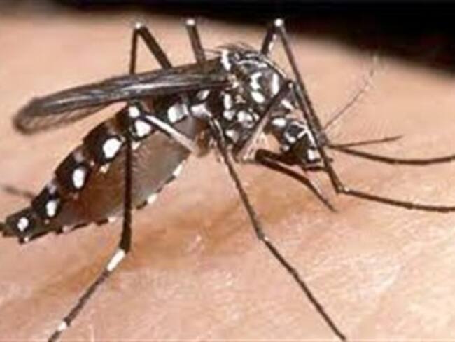Autoridades sanitarias declaran una epidemia de dengue en Panamá