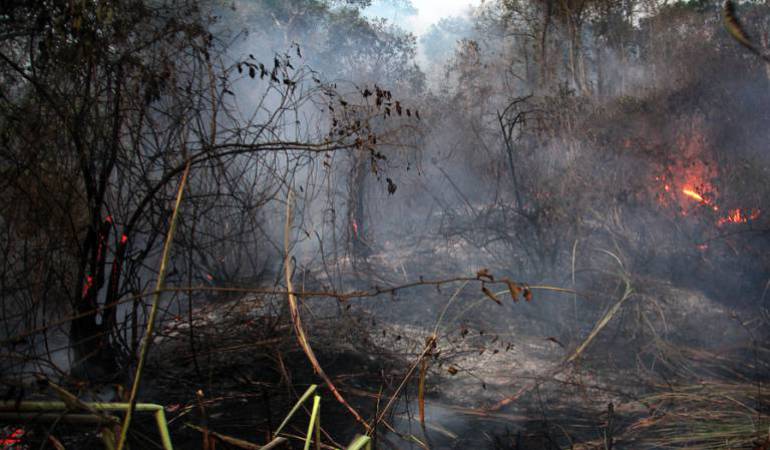 Incendio forestal en Caldas.
