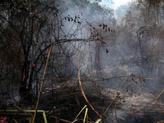 Siete municipios de Caldas afectados por incendios forestales