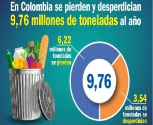 Pérdida de alimentos