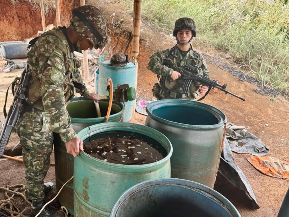 Ejército destruyó siete laboratorios para procesar coca en el norte del Cauca