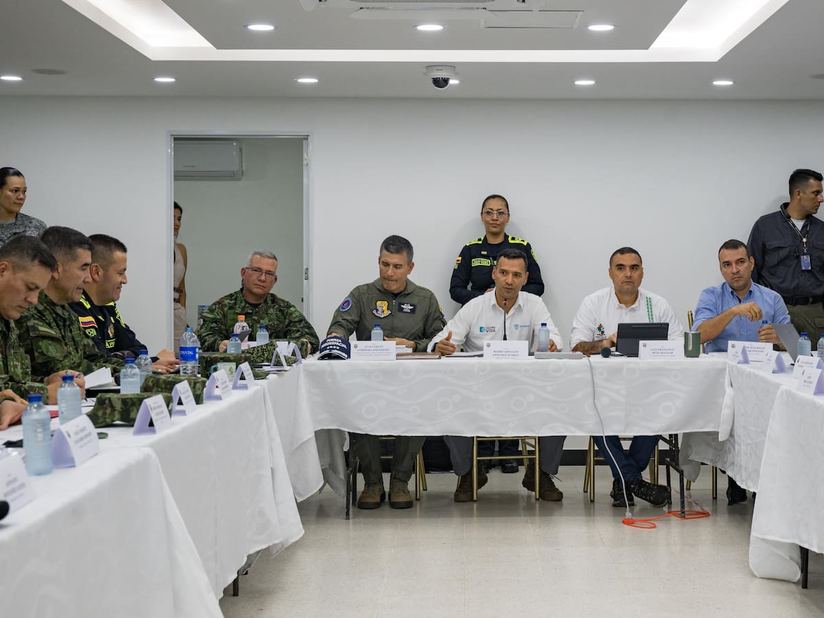 Finaliza prórroga del cese unilateral: Gobierno alista decisiones frente a disidencias de ‘Calarcá’