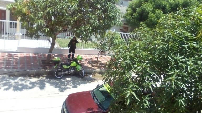 Sector del barrio Las Mercedes atacado por las abejas