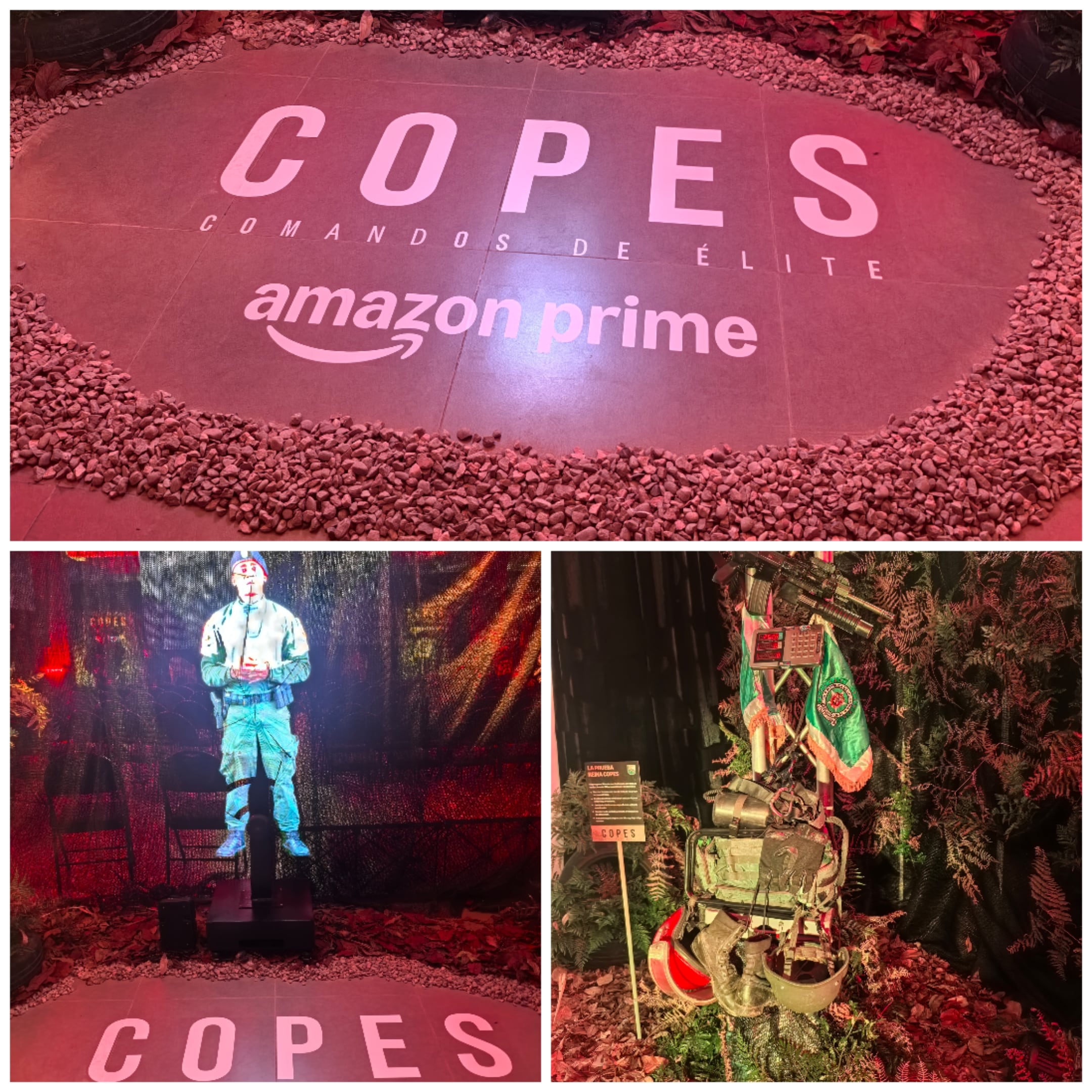 Cortesía: Ricardo Bedoy