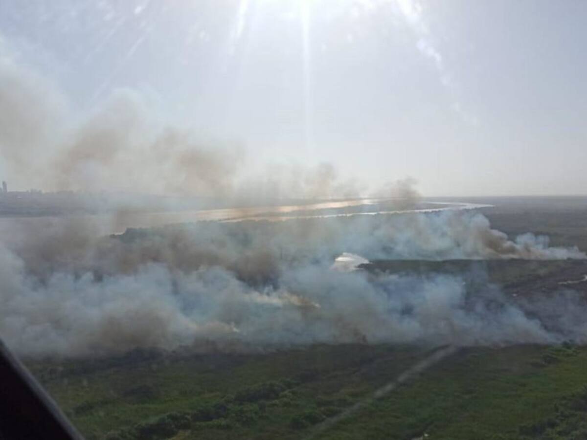 Vándalos habrían provocado el incendio en el Isla de Salamanca