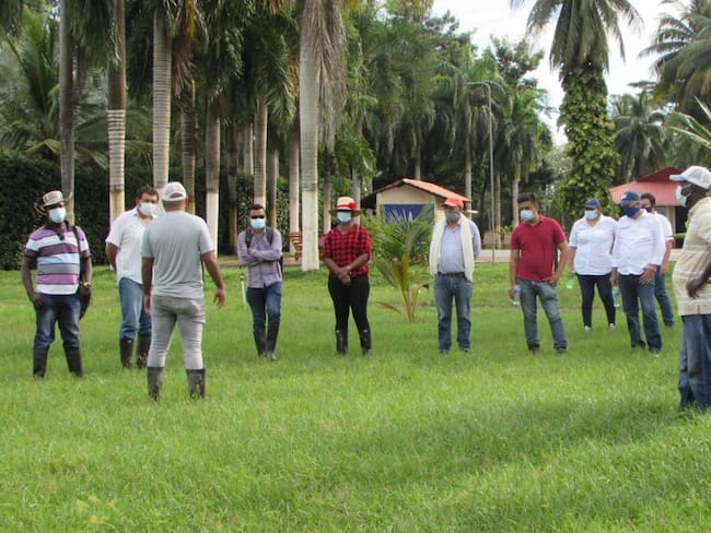Firman contrato que promueve el cultivo de coco de María La Baja, Bolívar