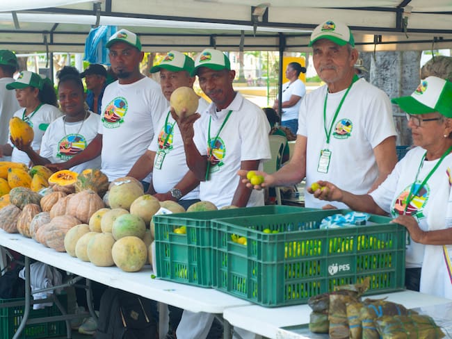 Universidad de Cartagena, presente en el Mercado Campesino ‘Del campo a tus manos’
