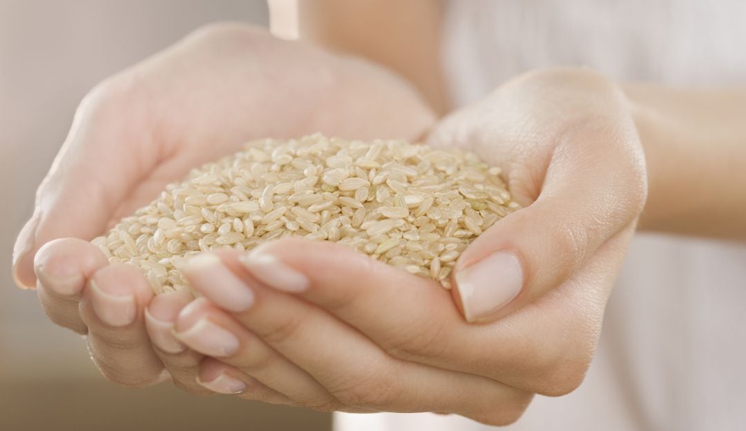 Arroz. Imagen de referencia