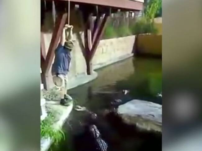 ¡OMG! Se le rompió la cuerda y quedó de carnada para los caimanes