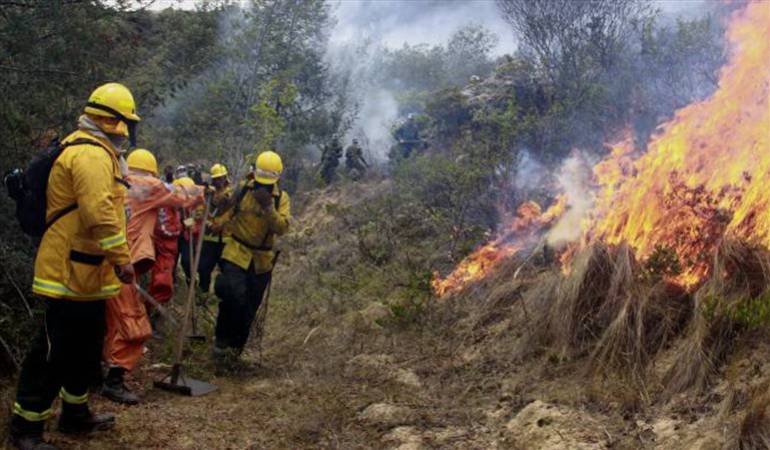 En agosto, entre 40 y 50 hectáreas han resultado afectadas por incendios.