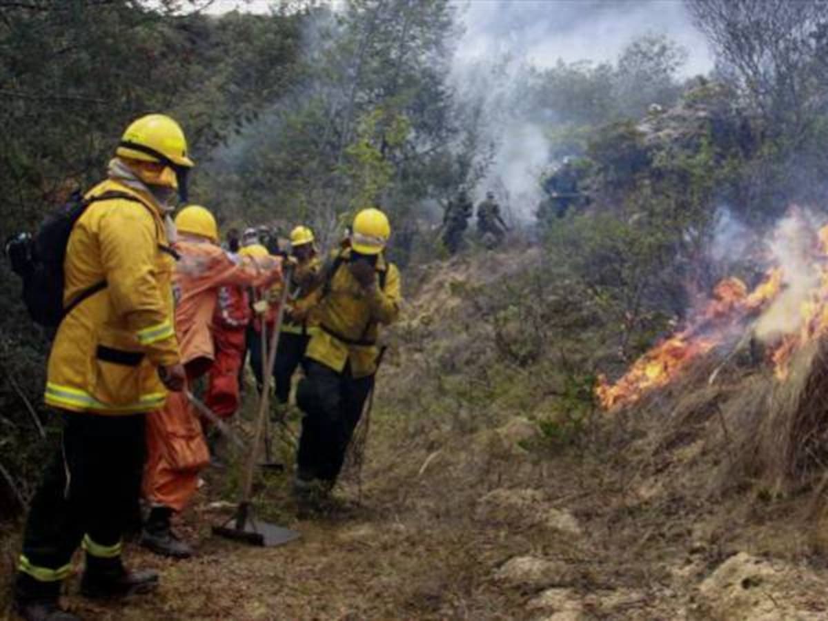 Cerca de 500 hectáreas han sido afectadas por incendios forestales en Boyacá durante 2026