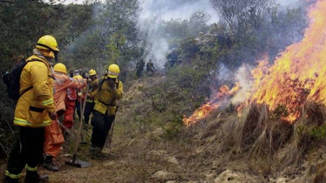 En agosto, entre 40 y 50 hectáreas han resultado afectadas por incendios.