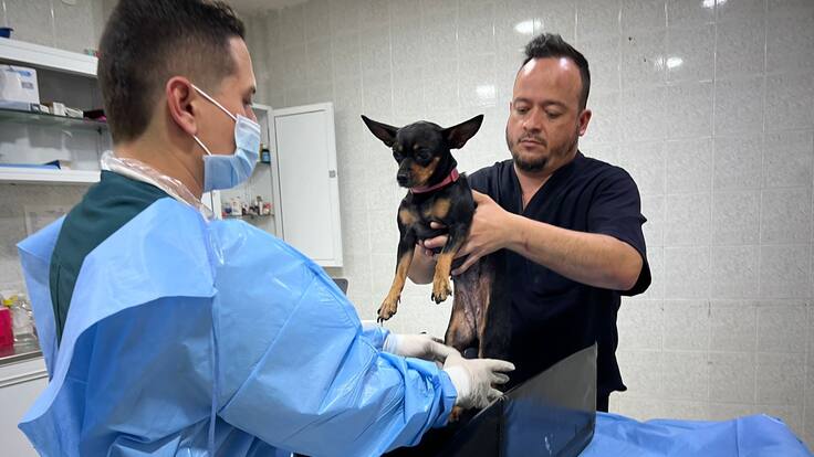 Mercedes Camargo, subsecretaria de Ambiente de Bucaramanga.