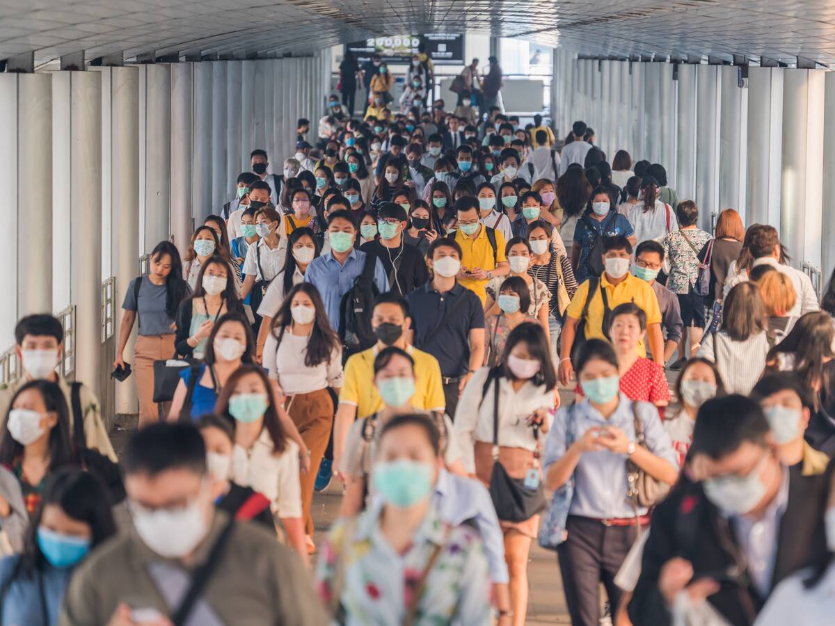 OMS pide prepararse para otra pandemia: posibles enfermedades que podrían causarla