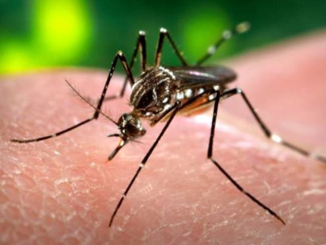 El 42% del territorio en Boyacá en riesgo por Zika, Dengue y Chikungunya