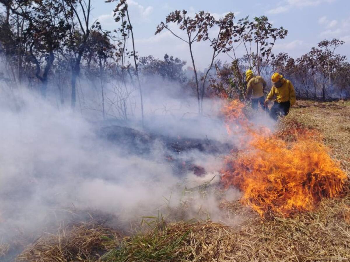 Con brigadas forestales, en Puerto López, Meta, previenen las quemas