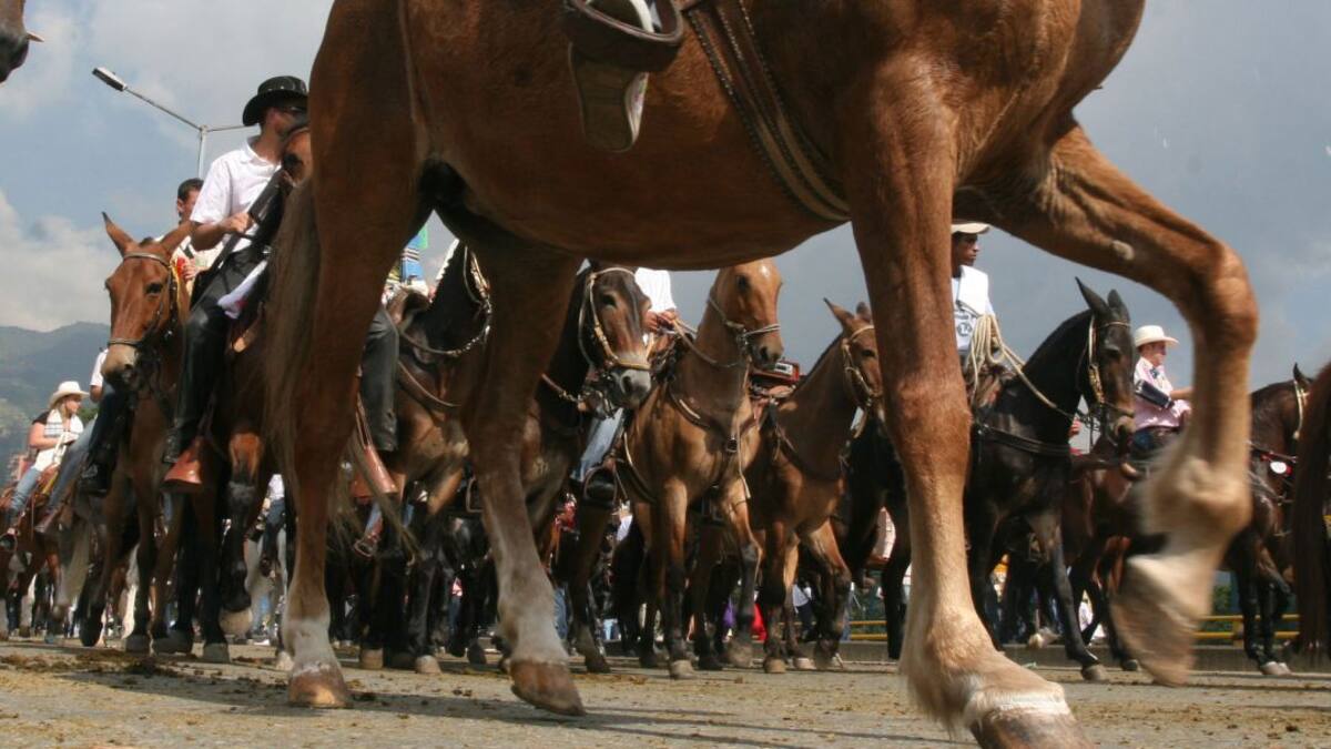Cabalgata en Palmira termina en tragedia