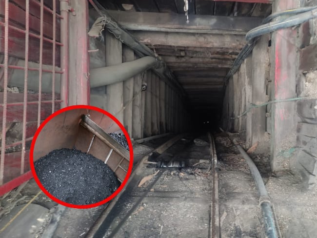 Cortesía: CAR Cundinamarca