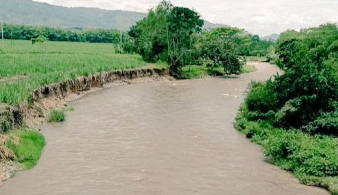 Imagen: Secretaría de Medio Ambiente de Caldas.