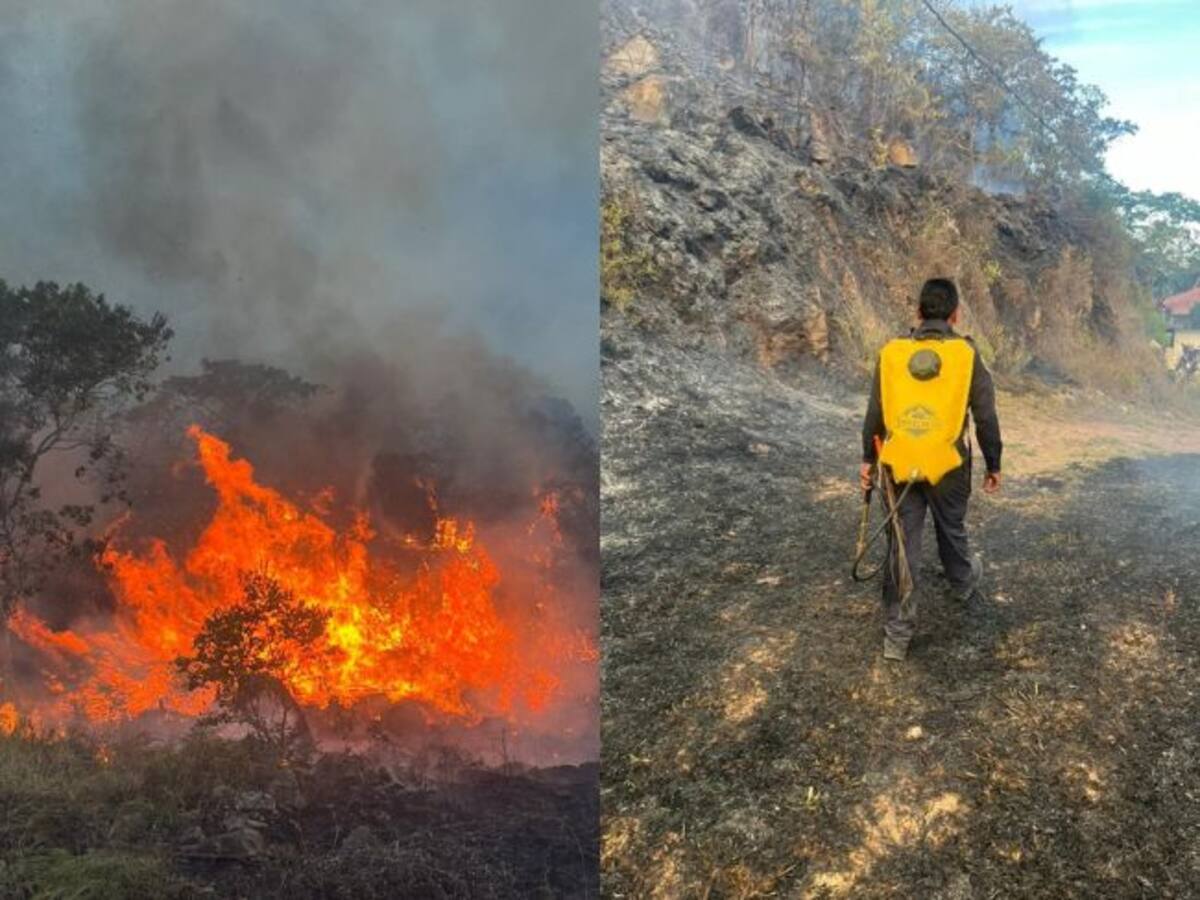 Incendios forestales en Aratoca y sector del Chicamocha en Santander, ya fueron controlados