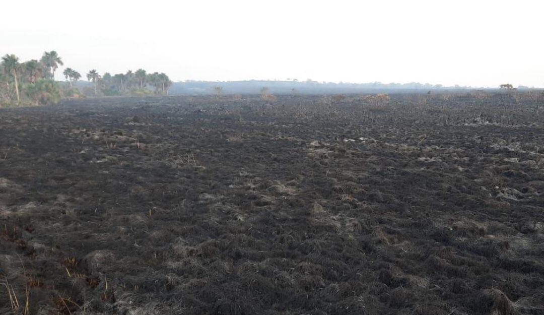 El inicio de la conflagración es materia de investigación. No se descarta una quema de la comunidad que salió de control.