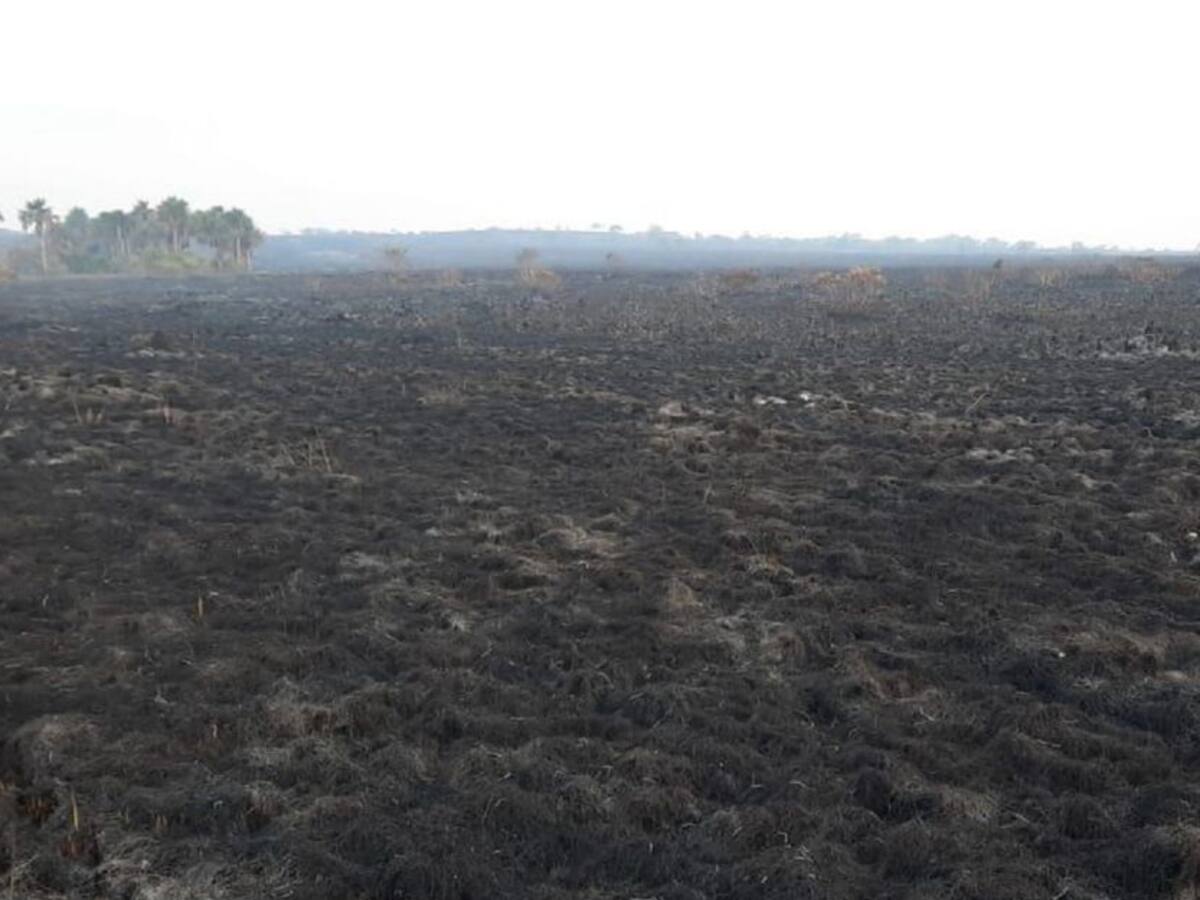 Incendio en La Macarena arrasó con 300 hectáreas de vegetación