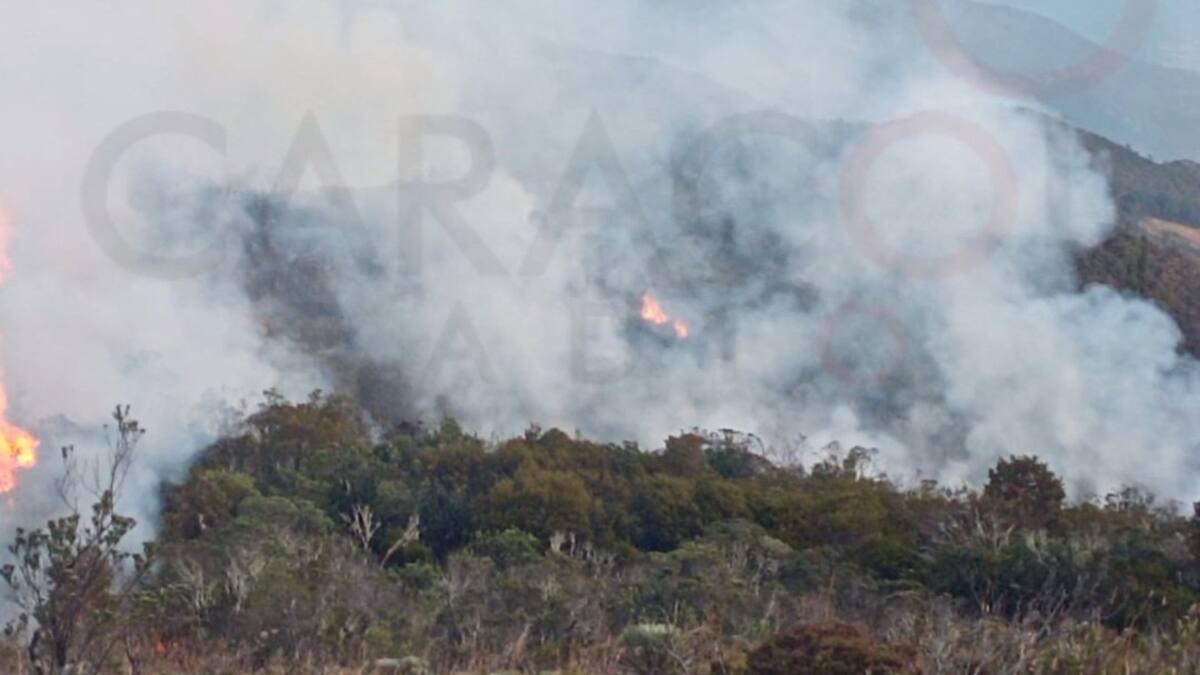 Incendio afecta zona vegetal del páramo de Siscunsí en Sogamoso, Boyacá