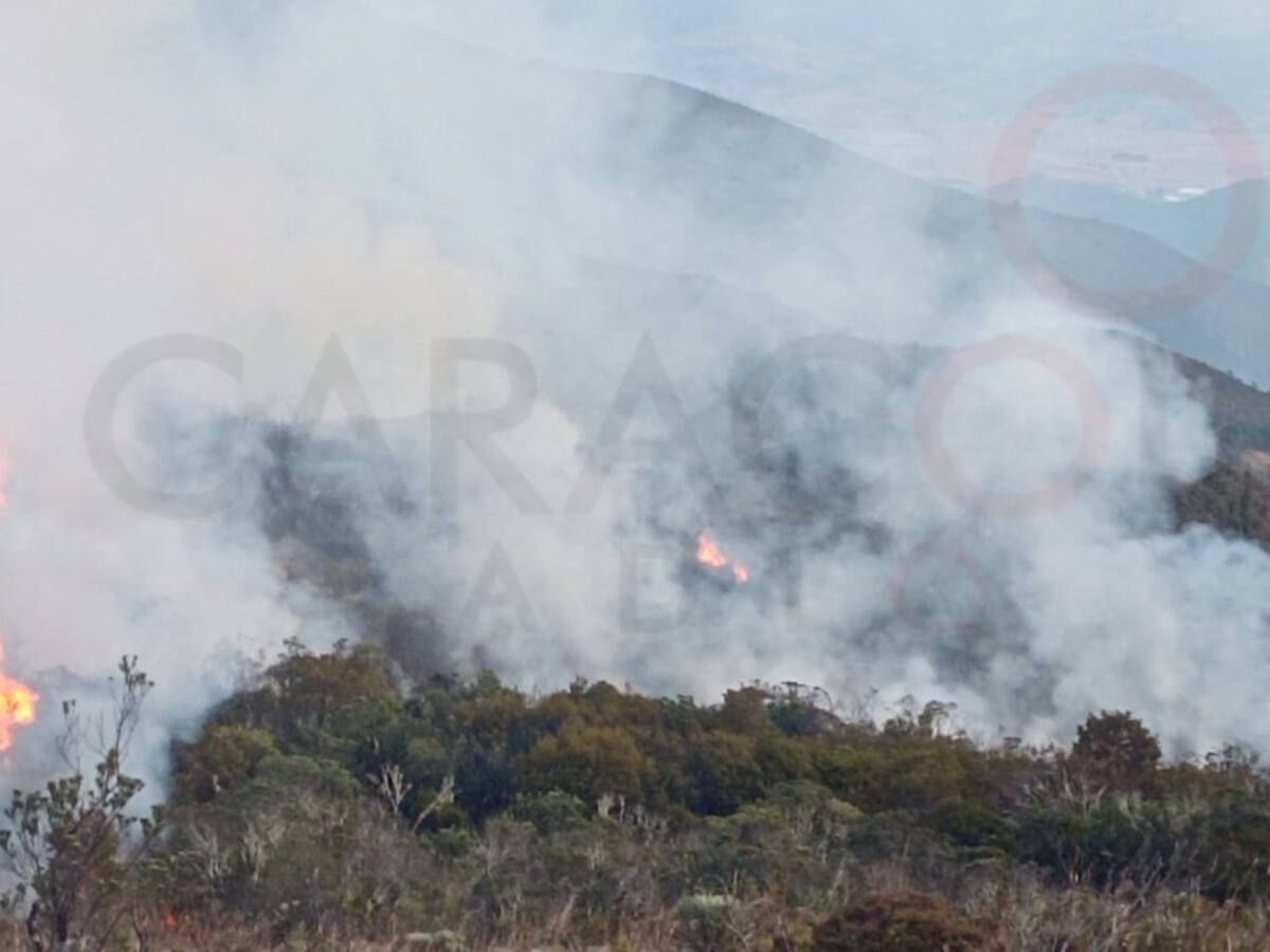 Incendio afecta zona vegetal del páramo de Siscunsí en Sogamoso, Boyacá