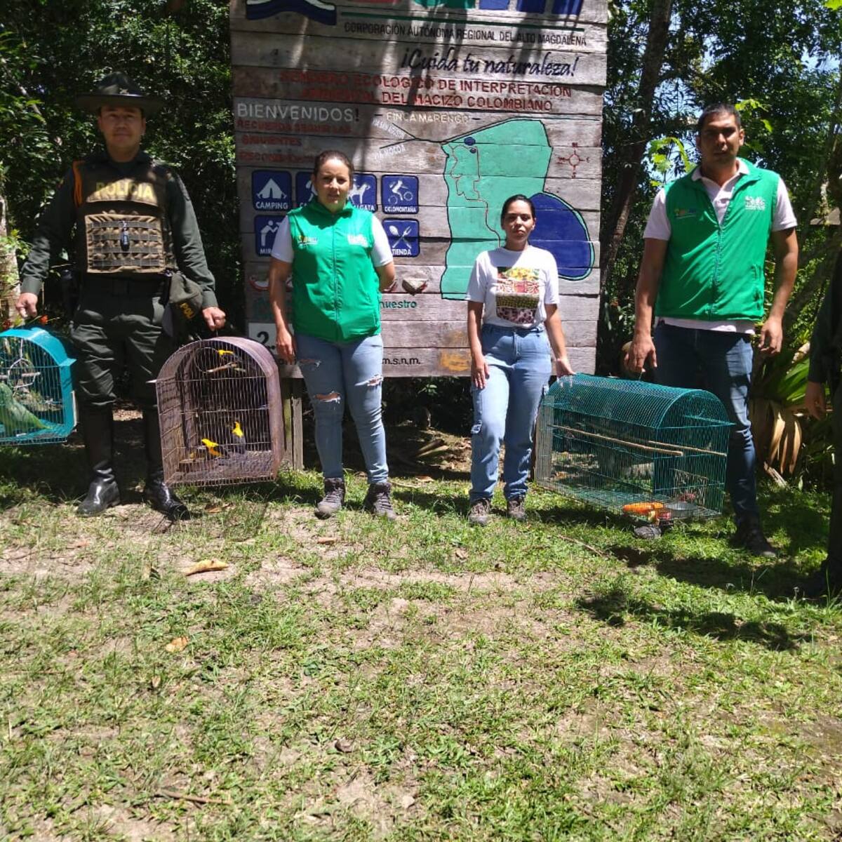 En el Huila, especies silvestres serán devueltas a su habita natural