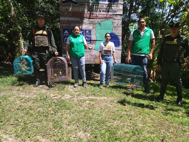 Tres Tortugas, una Guacamaya, un Loro, un Azulejos, y tres Toches.