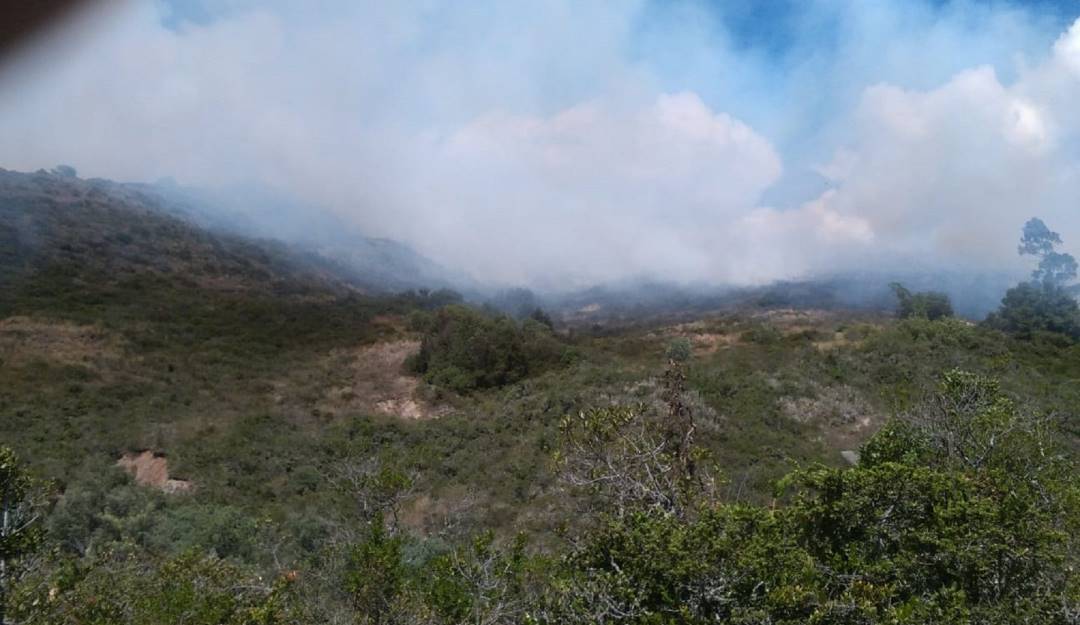 Incendio Forestal en Guatavita/Bomberos de Cundinamarca 