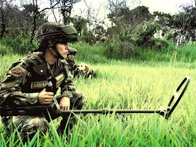 Proceso de desminado en Caldas va en un 52% según la Octava Brigada