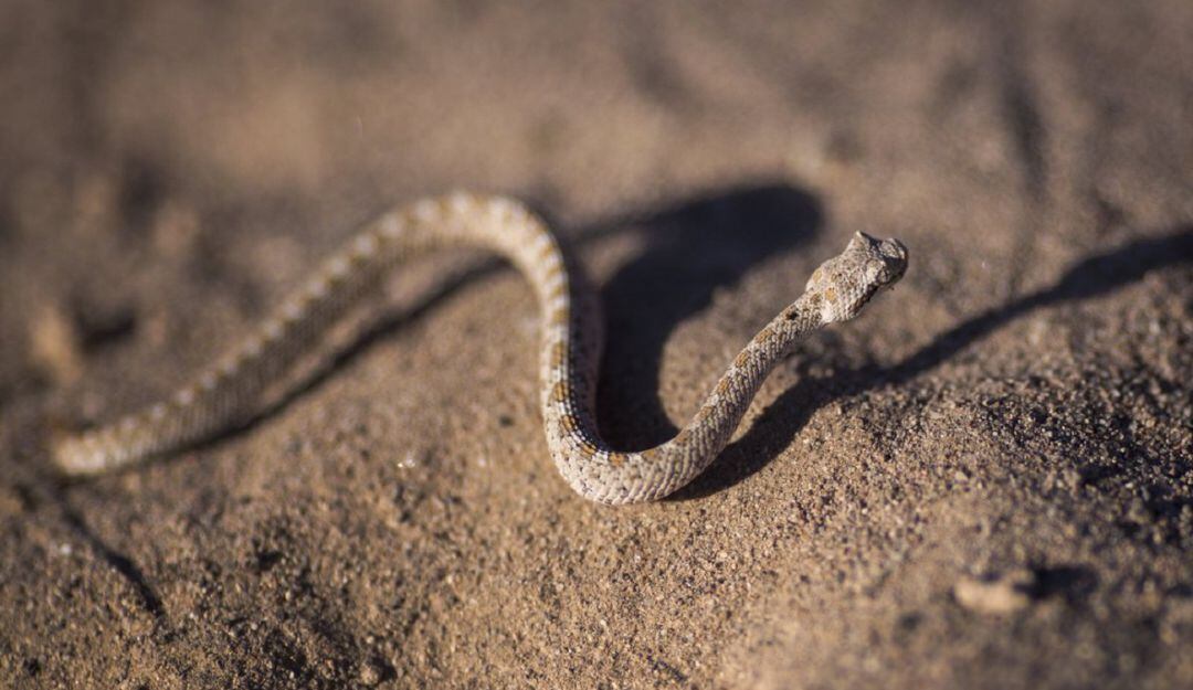 Foto: Tomada de Getty Images.