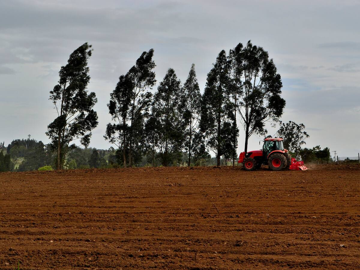 Agricultores de Boyacá se preparan para adaptar sus cultivos al cambio climático