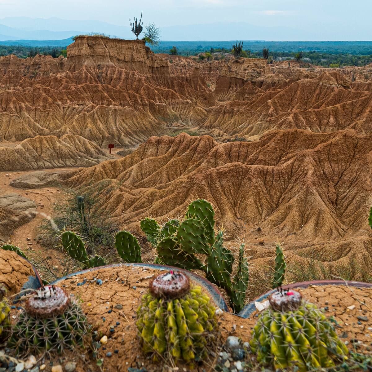 Medellín promocionará Festival de Turismo Astronómico en desierto de la Tatacoa