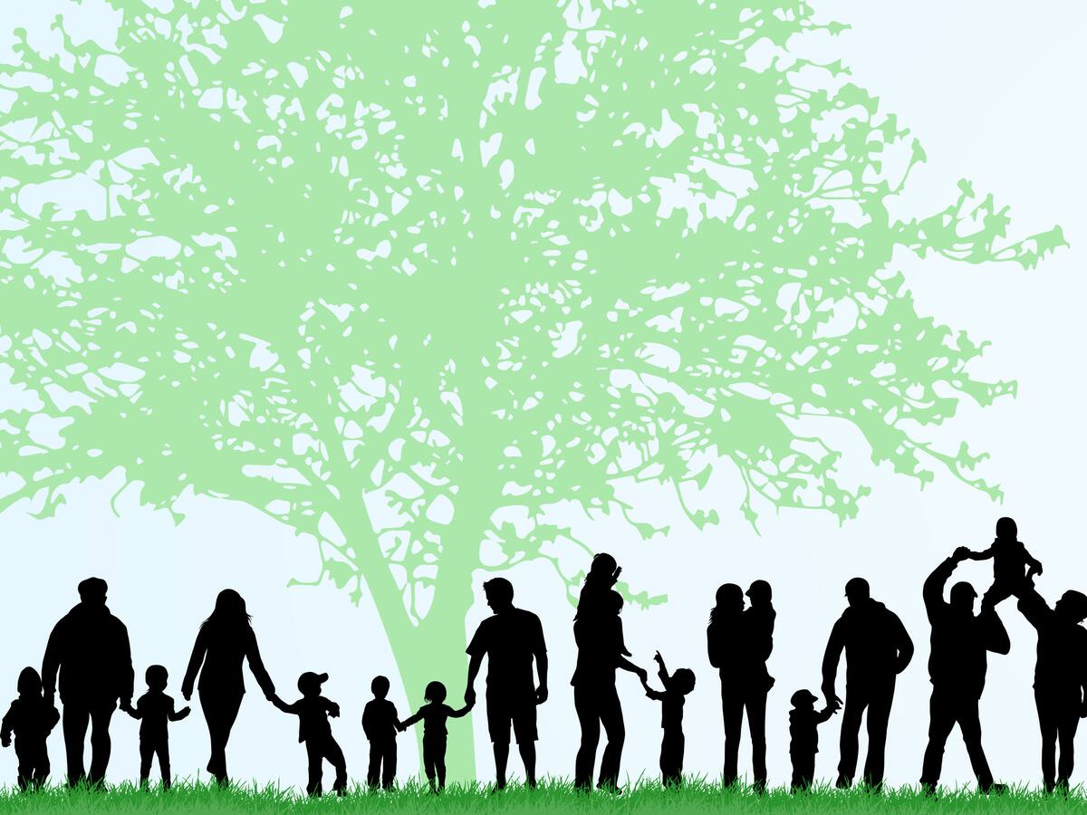 ¿Qué herramientas ayudan a sanar el árbol familiar y permiten liberarnos de limitaciones?